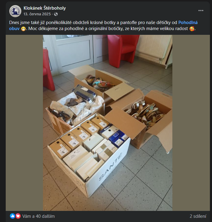 Snímek obrazovky 2026-01-28 163144